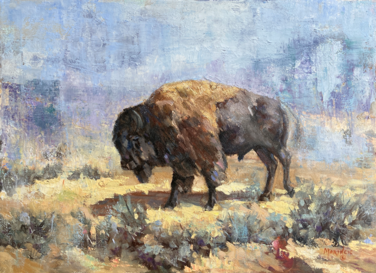 prairie bison
